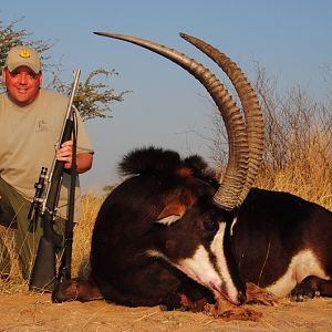 South Africa Hunting Sable Antelope