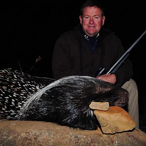 South Africa Hunting African Porcupine