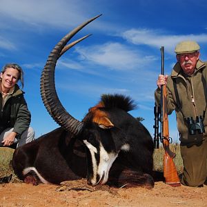 South Africa Hunting Sable Antelope