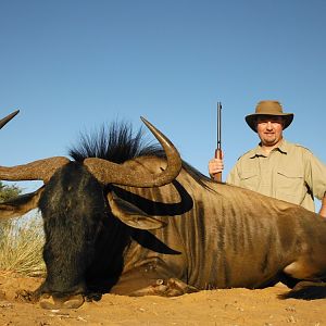 Blue Wildebeest Hunt South Africa