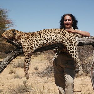 Hunting Leopard in South Africa