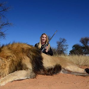 Hunt Lion in South Africa