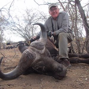 Hunting Cape Buffalo