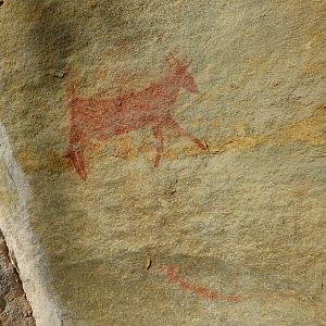 Rare rock paintings at untouched paleolithic site