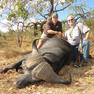 Buffalo Hunting South Africa