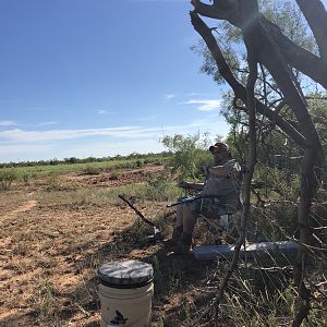 Opening Weekend Dove Hunt