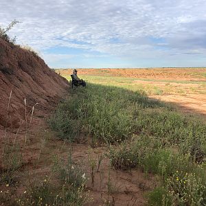 Opening Weekend Dove Hunt