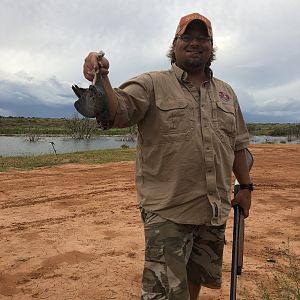 Opening Weekend Dove Hunt