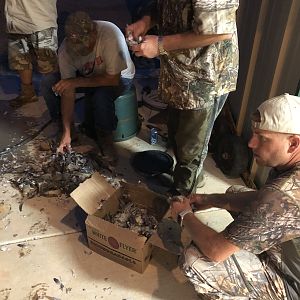 Opening Weekend Dove Hunt