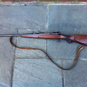 Mauser--1919 Rifle