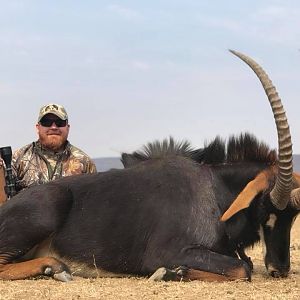 South Africa Hunt Sable Antelope