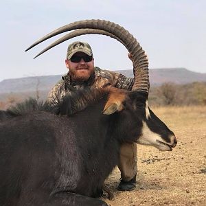 Sable Antelope Hunt in South Africa