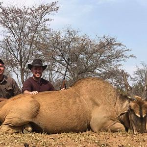 Eland Hunting in South Africa