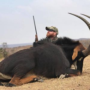 South Africa Hunt Sable Antelope