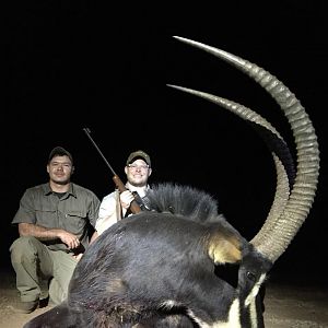 South Africa Hunting Sable