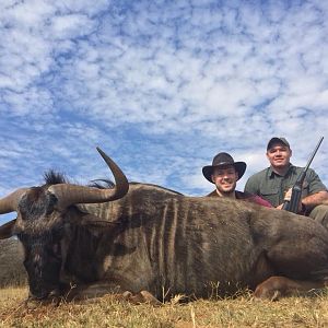 Hunt Blue Wildebeest South Africa