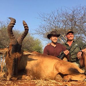 Hunt Red Hartebeest South Africa