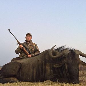 Blue Wildebeest Hunting in South Africa