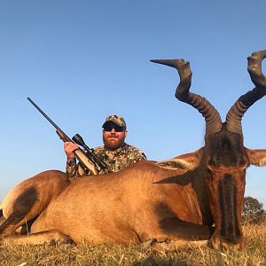 Hunting Red Hartebeest South Africa