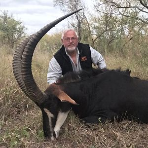 Hunt 43" Inch + Sable Antelope in South Africa