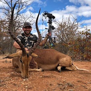 Bow Hunt Impala in South Africa