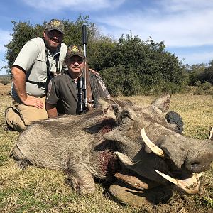 South Africa Hunting Warthog