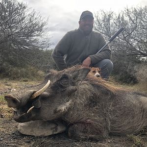 Hunting Warthog in South Africa