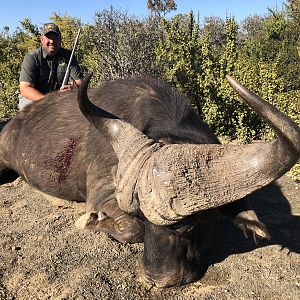 Hunt Cape Buffalo in South Africa