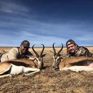 South Africa Hunt Springbok