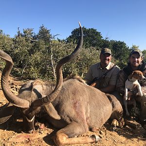 Hunting Kudu in South Africa