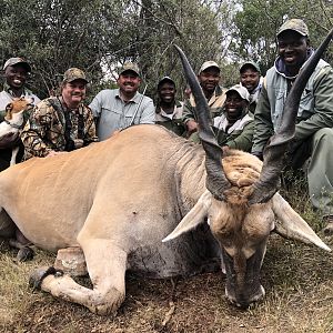 Eland Hunt South Africa