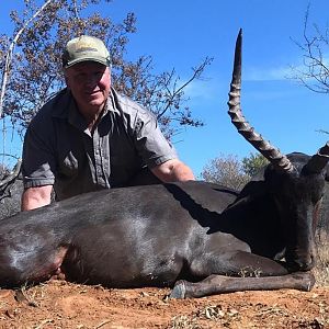 Black Impala Hunting South Africa