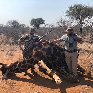 Monterra Safaris - Black Giraffe Bull