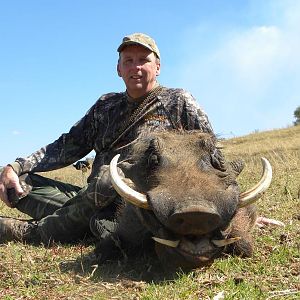 South Africa Hunting Warthog