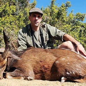 Bushbuck Hunting South Africa