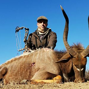 South Africa Bow Hunting Nyala