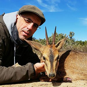 Hunt Duiker in South Africa