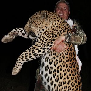 Leopard Hunt Namibia