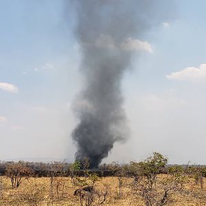 Fire burning through the long grass way to the North