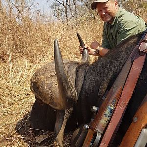 Cape Buffalo Hunting Zambia