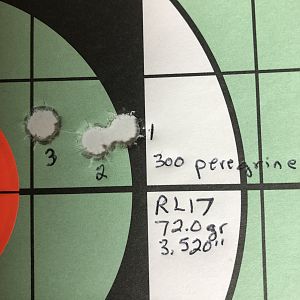 Range Shooting with 300 gr Peregrine and 72.0 RL17