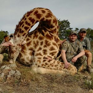 South Africa Hunt Giraffe