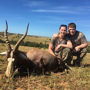 Hunt Blesbok South Africa