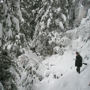 Chamois Hunting in the French Alps