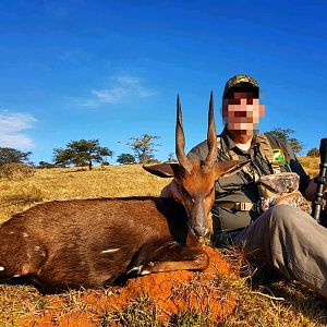 Hunt Steenbok South Africa