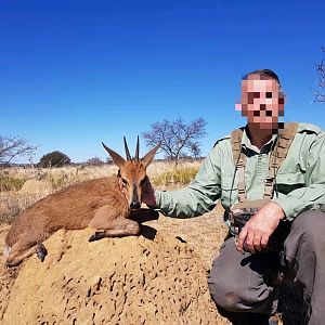 South Africa Hunt Duiker