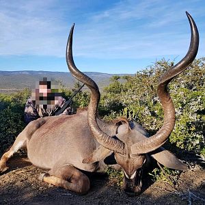 South Africa Hunting Kudu