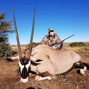 Gemsbok Hunting in South Africa