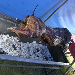 Warthog Spitbraai