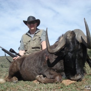 Black Wildebeest (SCI Bronze Medal)